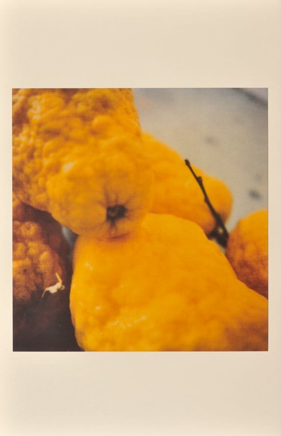 Time Regained: Cy Twombly Photographer and Guest Artists — 
Lemons, Gaeta, 2005
© Cy Twombly. Print Richard Cook.

