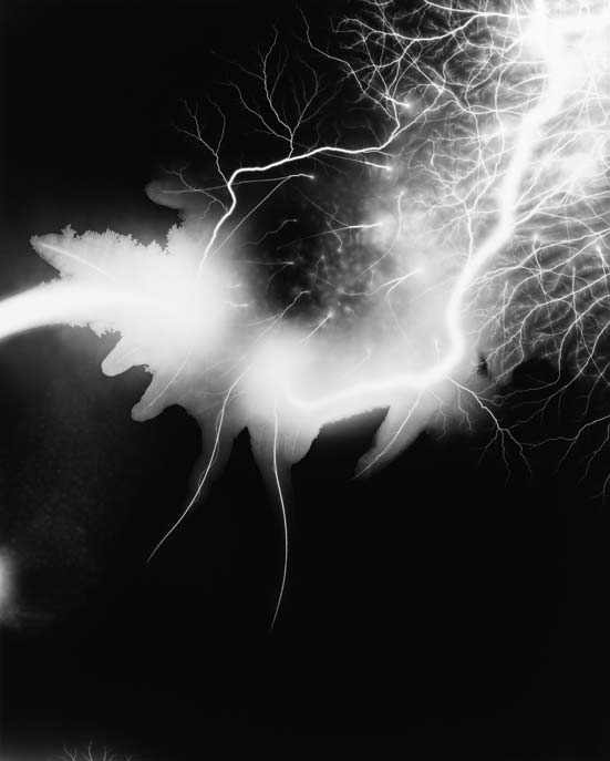 Hiroshi Sugimote: Lightning Fields and Photogenic Drawing — 
Lightning Fields 168, 2009
Gelatin silver print: 149 x 119.4 cm
© Hiroshi Sugimoto
