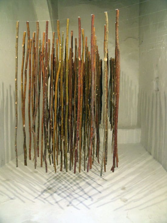 Muhammad Ali
Installation for ‘Magnetism’
AllArtNow May, 2009